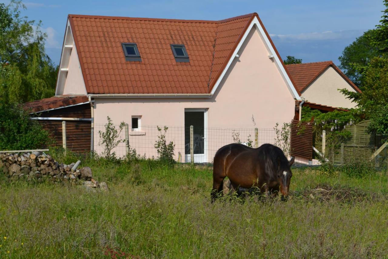 Le Paddock Des Caloges Villa Le Tilleul ภายนอก รูปภาพ